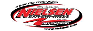 NIELSEN logo